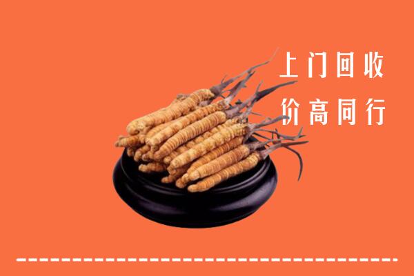 高价求购：潍坊市奎文区回收散虫草