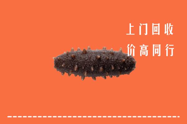 高价求购：潍坊市奎文区回收海参